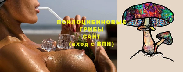 молекула духа Лиски