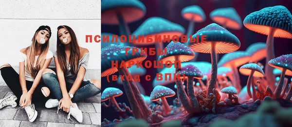 молекула духа Лиски