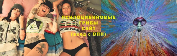 молекула духа Лиски