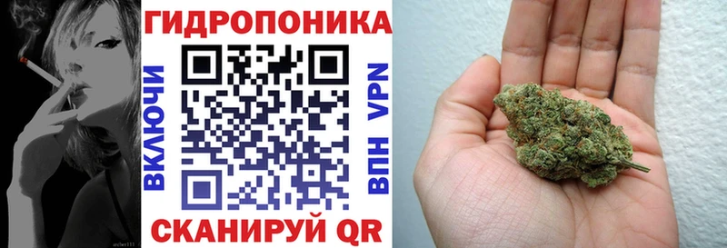 Купить где  Берёзовка  Конопля индика 